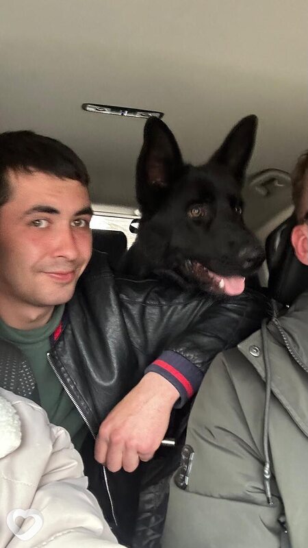 Максим, 28, Химках — анкета №469495