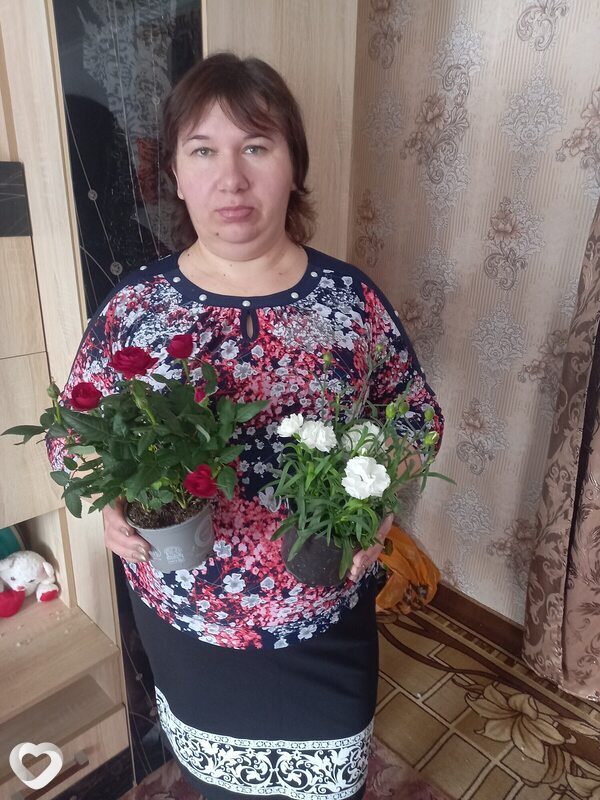 Настя, Кашары