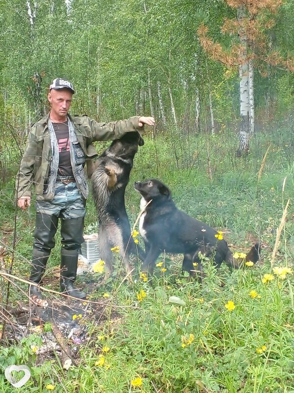 Дмитрий, 46, Нижнеудинске — анкета №470140