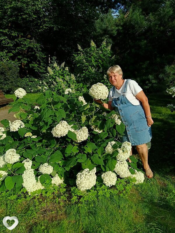 Ирина, 54, Смоленске — анкета №471056