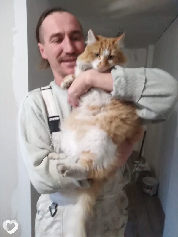 Vitek, Освецим