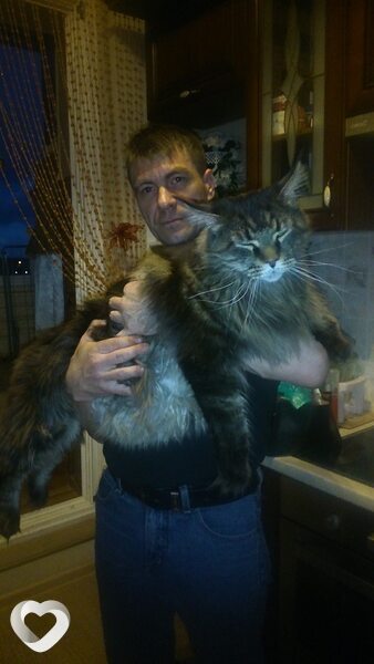Владимир, 55, Санкт-Петербурге — анкета №473059