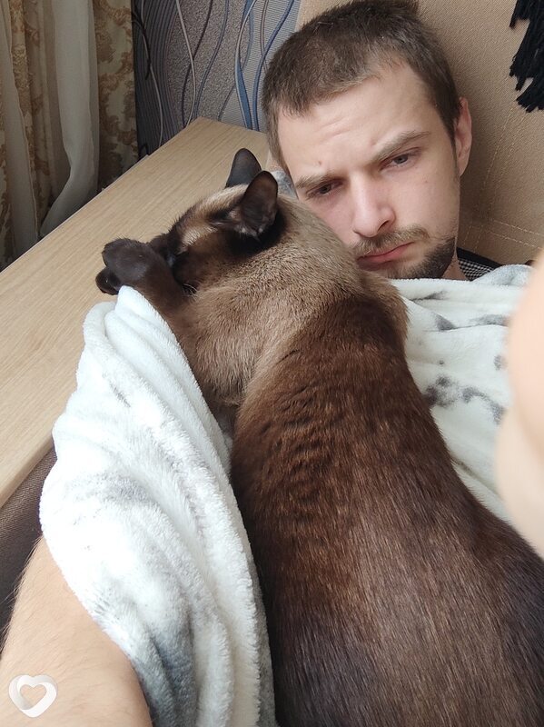 Андрей, 27, Костроме — анкета №477023