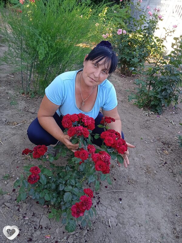 Анна, 47, Севастополе — анкета №478852