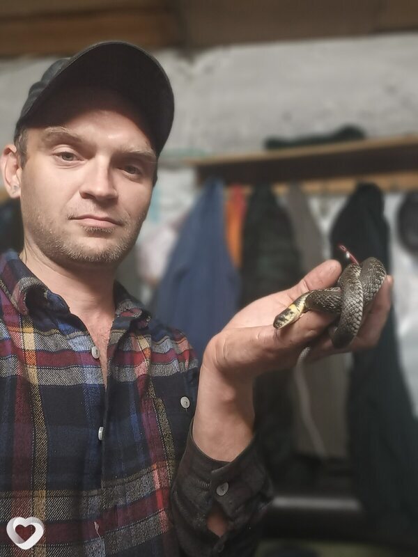 Дмитрий, 39, Могилев — анкета №478741