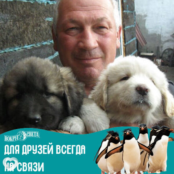 Владимир, 59, Новосибирске — анкета №479609