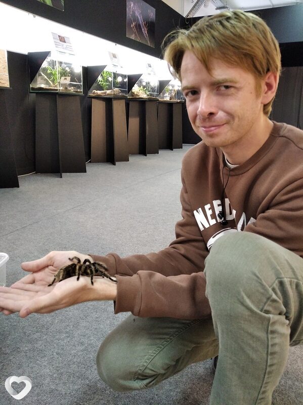 Дмитрий, 33, Ростове-на-Дону — анкета №479751