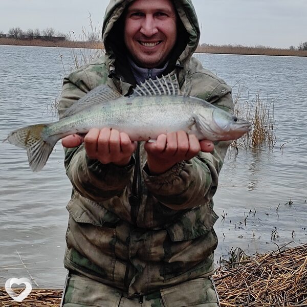 Максим, 44, Ростове-на-Дону — анкета №482308