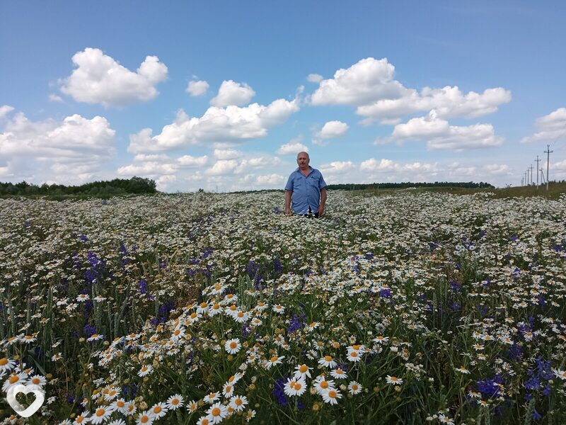 Раиль, 68, Заинске — анкета №483052