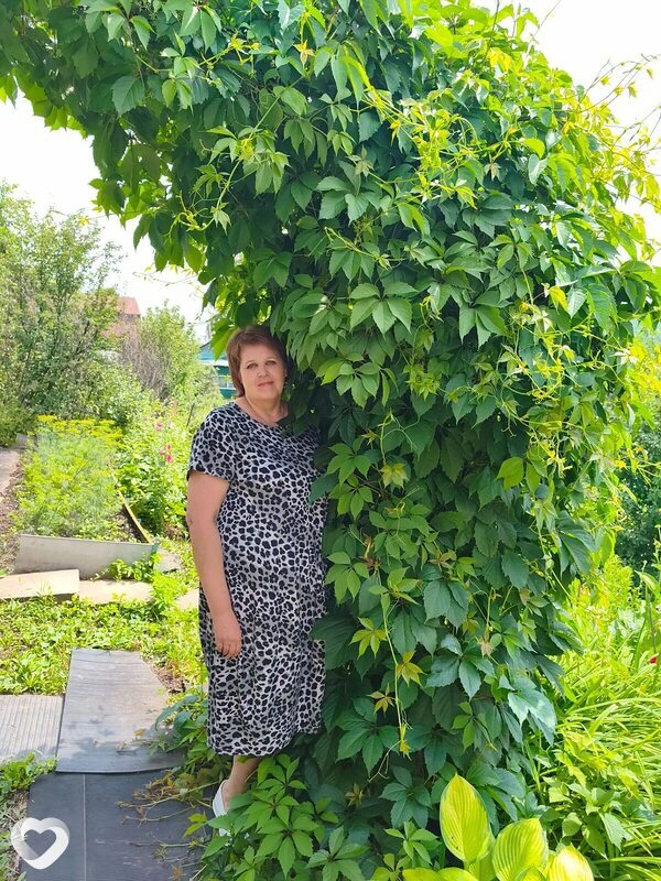 Елена, 55, Новокузнецке — анкета №485549