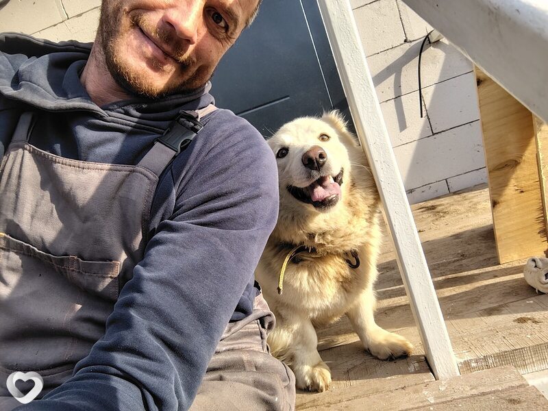Паша, 41, Кстове — анкета №486390