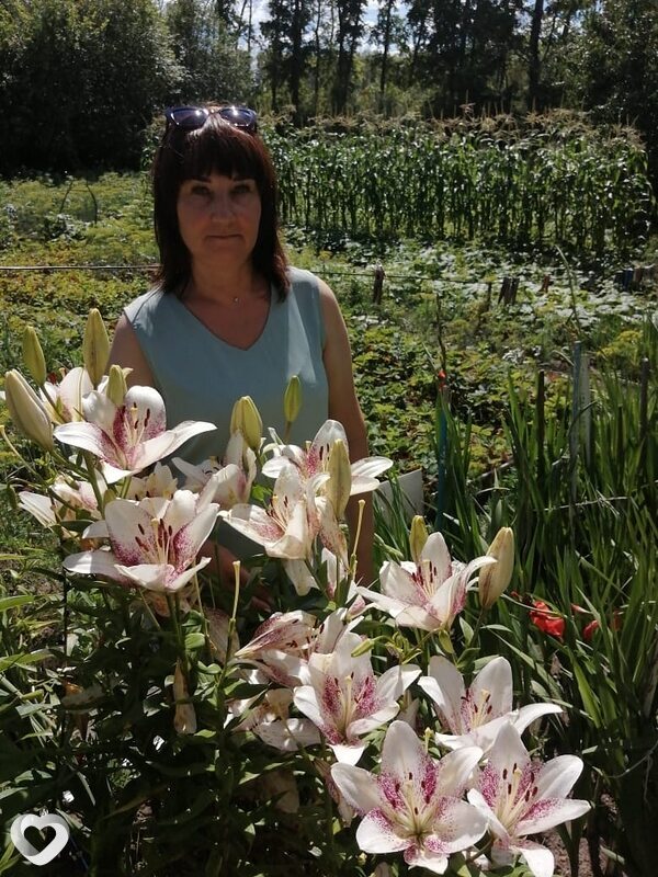 Ольга, 53, Благовещенске — анкета №489853