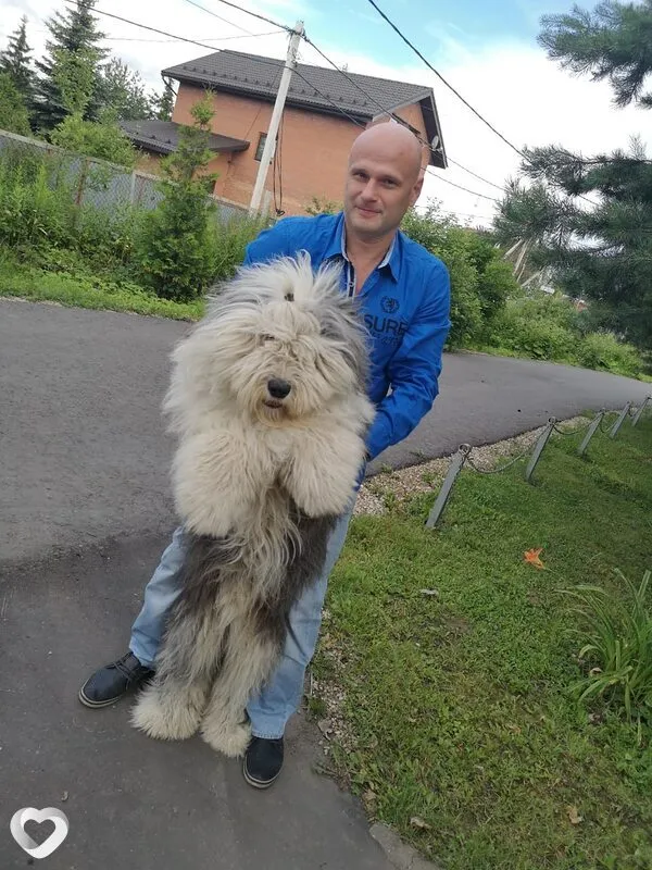 Виталий, 53, Москве — анкета №489998