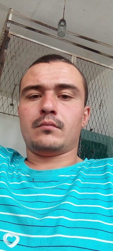 Владимир, Мамлютка
