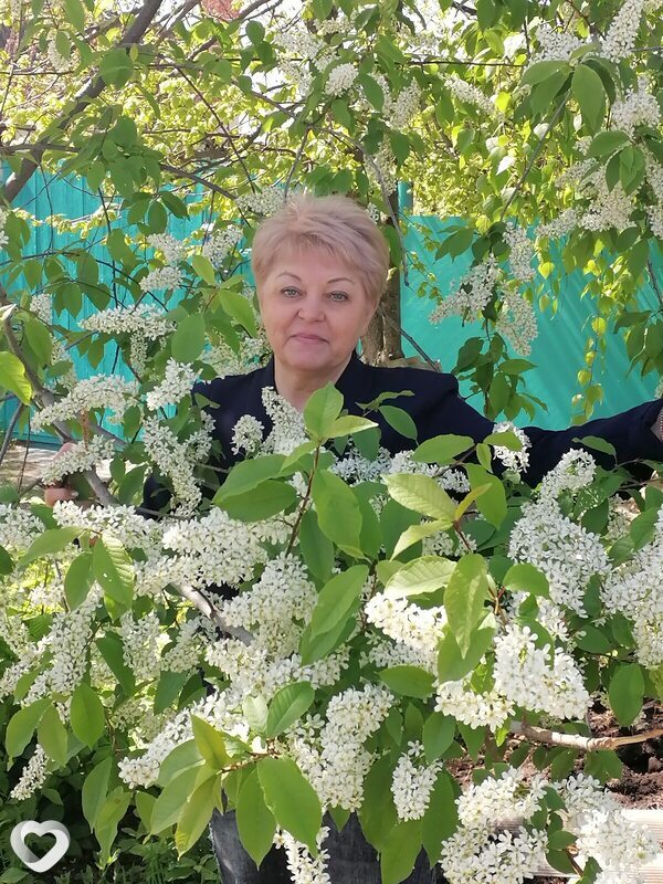Галина, 70, Саратове — анкета №492519