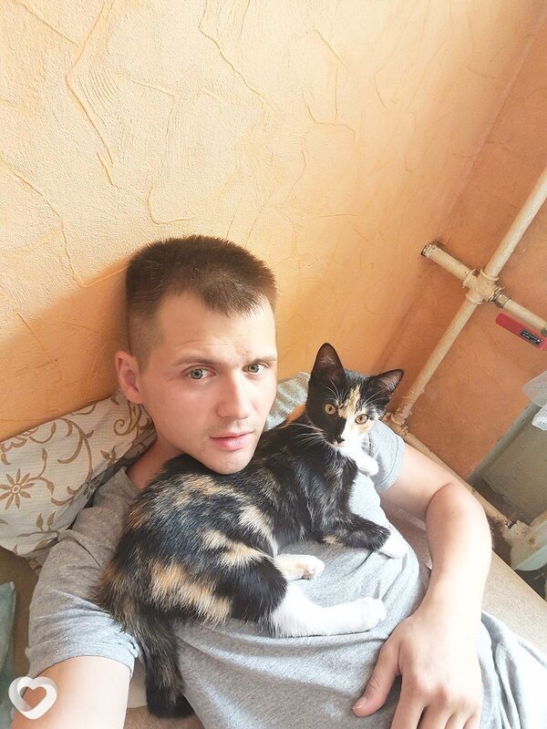 Александр, 33, Череповце — анкета №492912