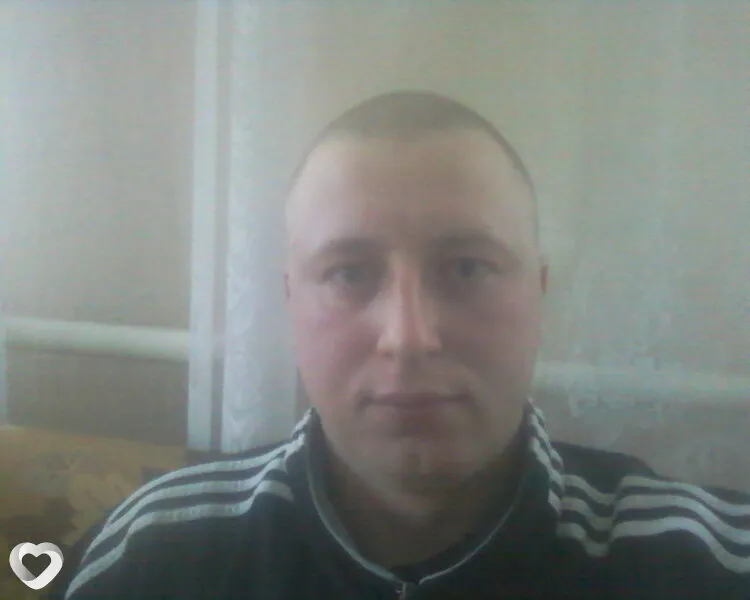 Dimkaby, Ветка