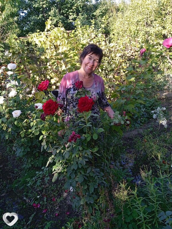 Нина, Тараз