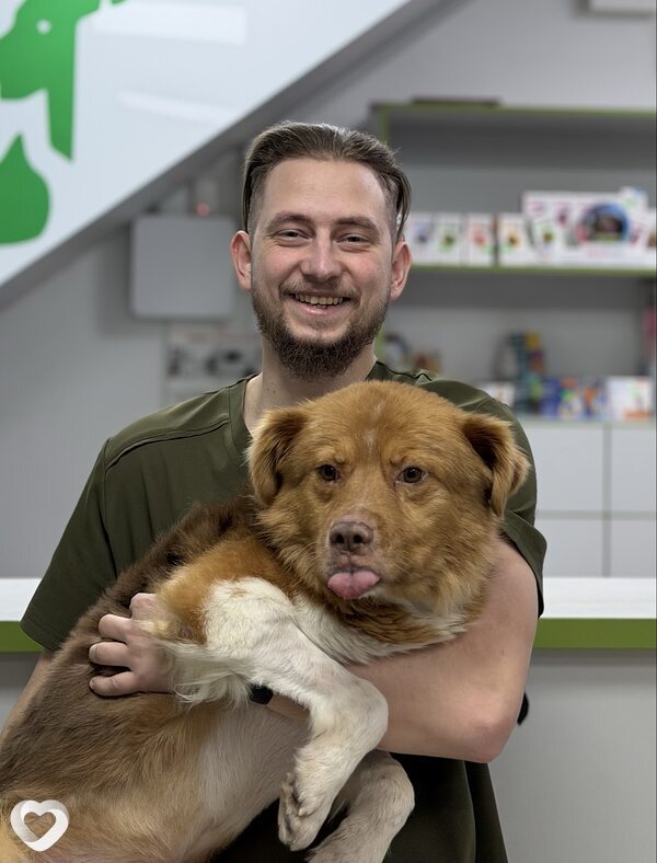 Di, Ирпень