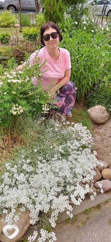 Ирина, 64, Минске — анкета №497404