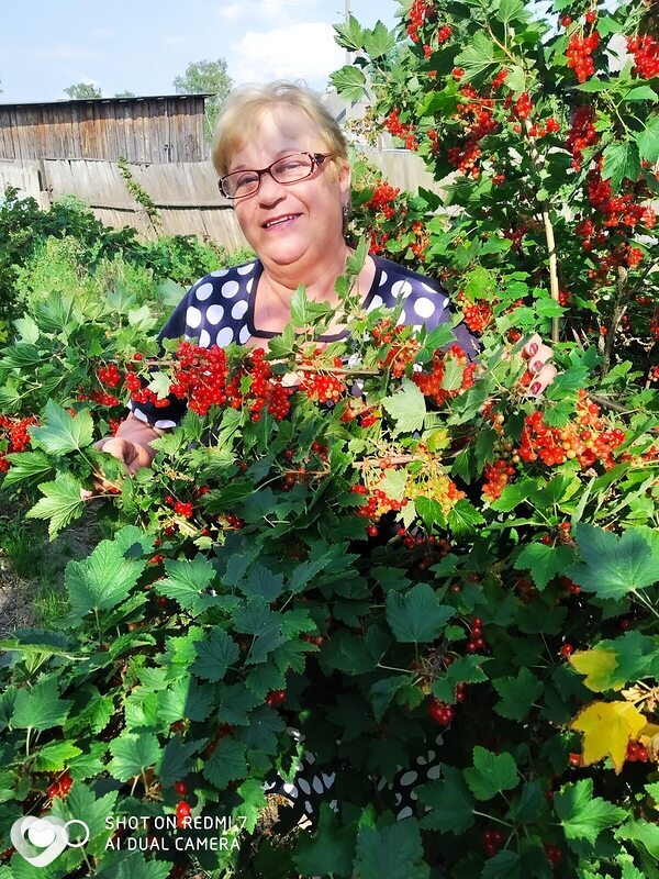 София, 60, Борисове — анкета №498731