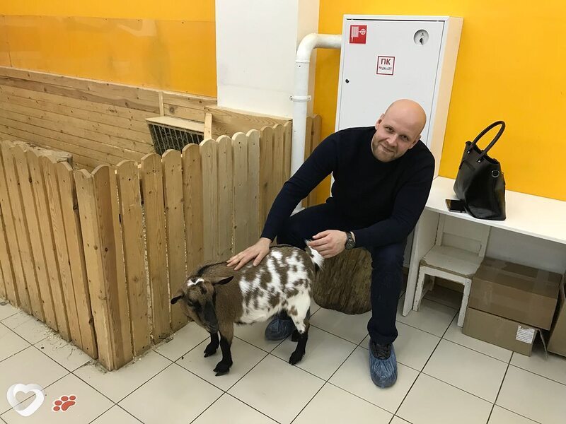 Петр, 36, Москве — анкета №499321