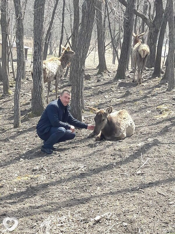 Сергей, 39, Партизанске — анкета №500382