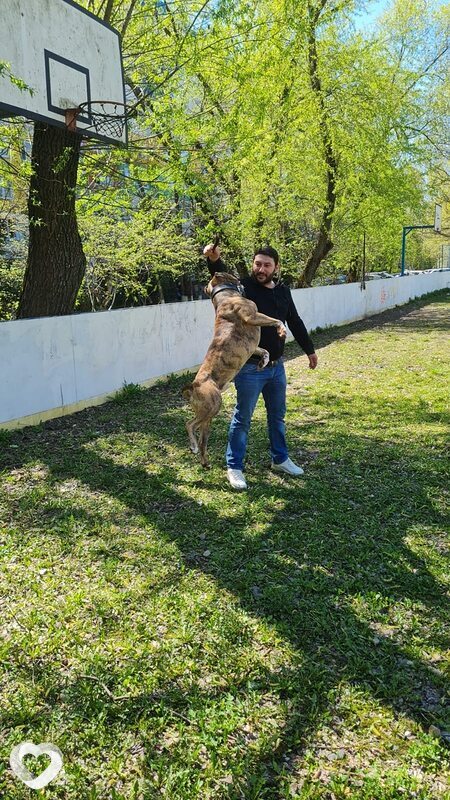 Альтаир, 40, Астрахани — анкета №500335
