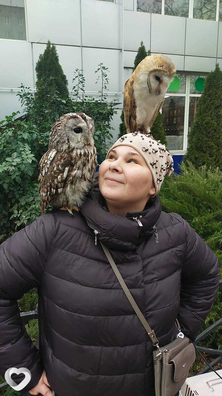 Татьяна, 35, Донецк (Ростовская Обл.) — анкета №502085