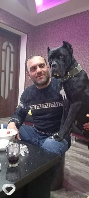 Giorgi, Тбилиси
