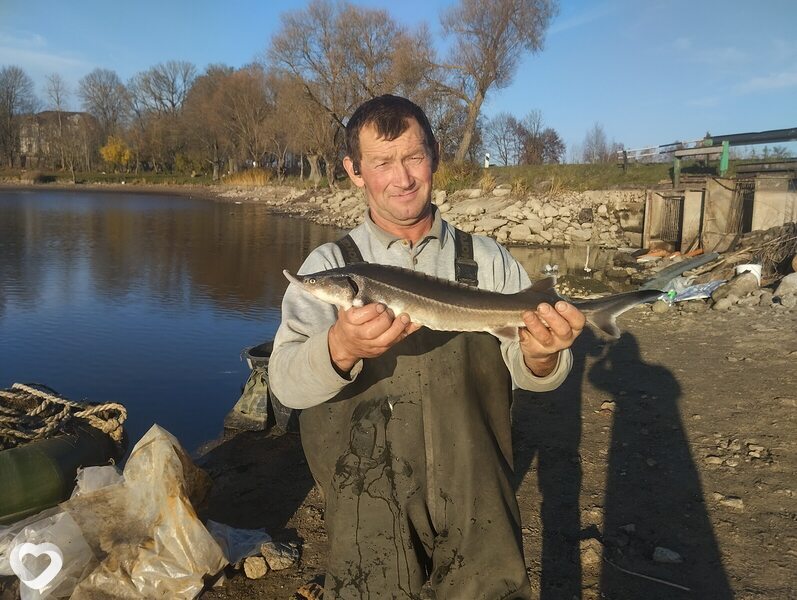 Михаил, 49, Щучине — анкета №508749