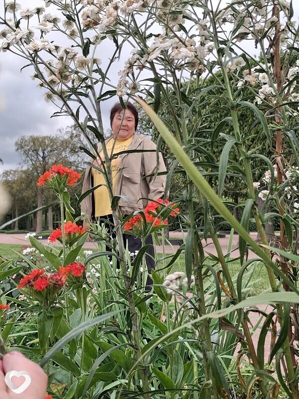 Наталья, 46, Краснокаменске — анкета №512342