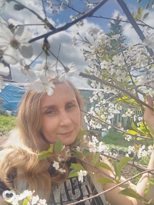 Елена, 47, Северодвинске — анкета №513307