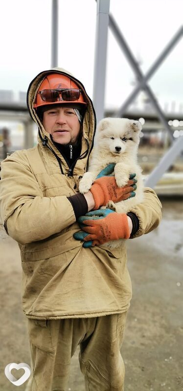 Сергей, 49, Белове — анкета №514630