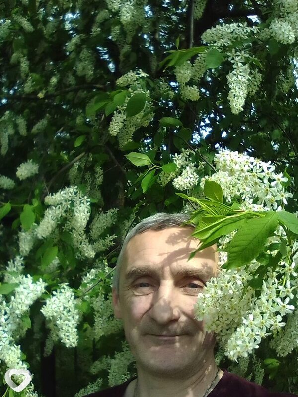 Владимир, 53, Санкт-Петербурге — анкета №515524