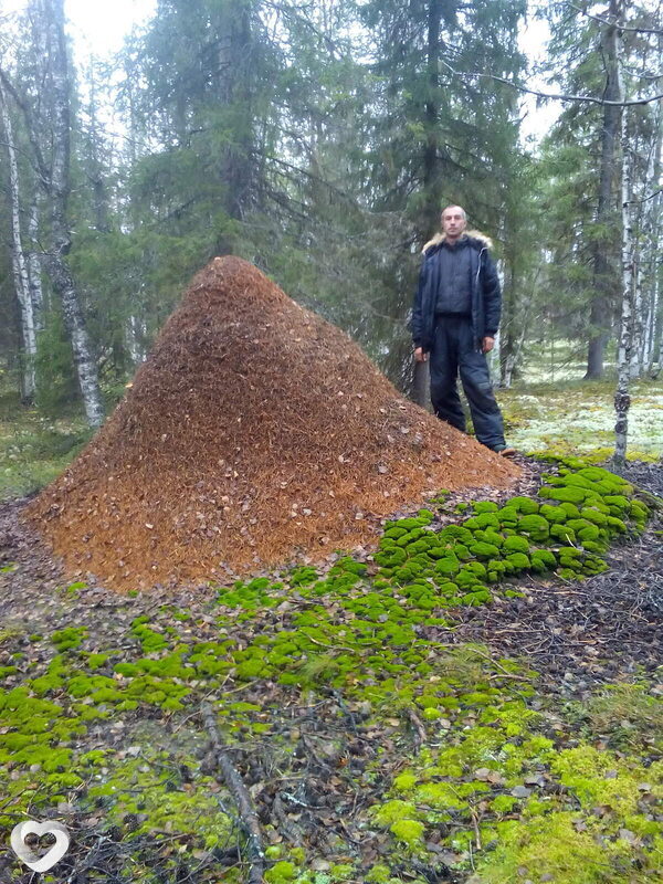 Сергей, 46, Ростове-на-Дону — анкета №518983