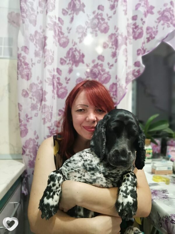 Елена, 49, Астрахани — анкета №527175