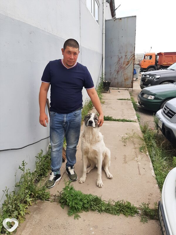 Медет, 49, Шымкенте — анкета №529669