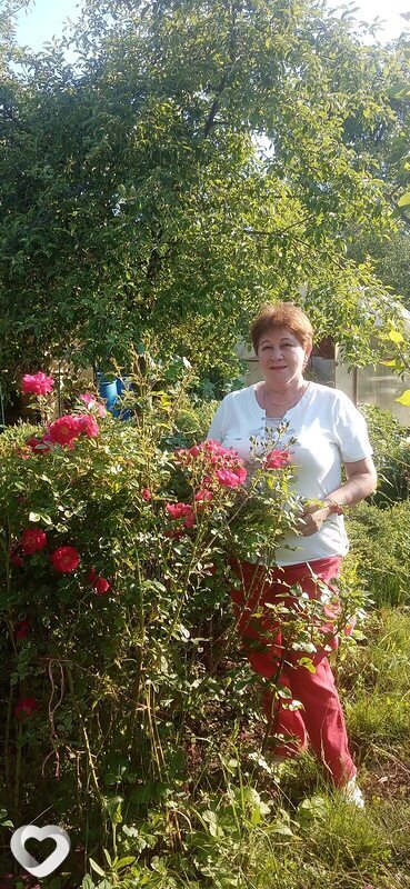 Валентина, 65, Рязани — анкета №533174