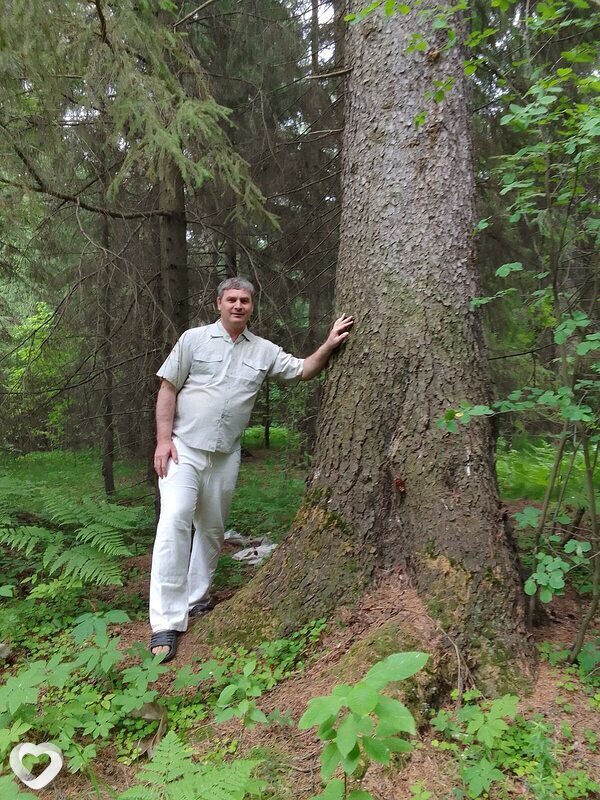 Алексей, 51, Сургуте — анкета №535356
