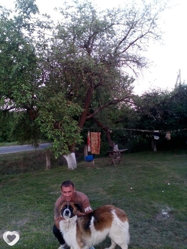 Владимир, 53, Бресте — анкета №536599