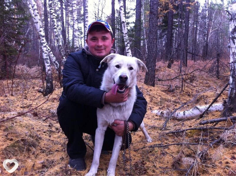 Павел, 36, Шелехове — анкета №538317