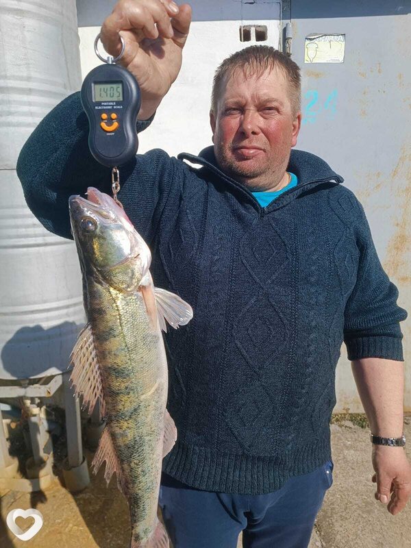 Николай, 48, Светлогорске — анкета №539971