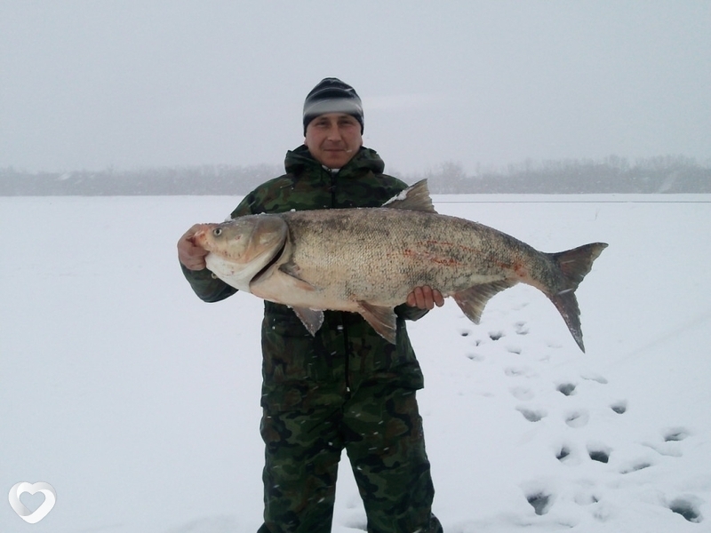 Дмитрий, 46, Шахтах — анкета №544159