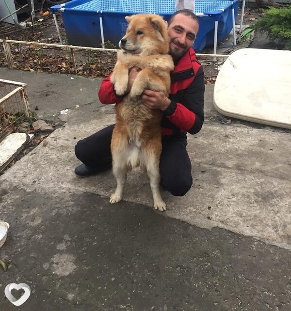 Sam, 40, Ростове-на-Дону — анкета №546761