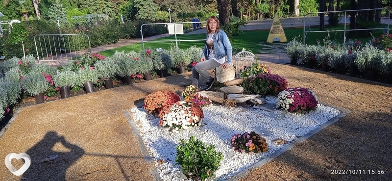 Светлана, 50, Санкт-Петербурге — анкета №549160