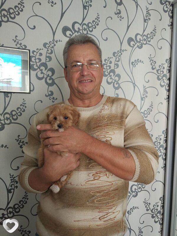 Володя, 60, Белгороде — анкета №549442