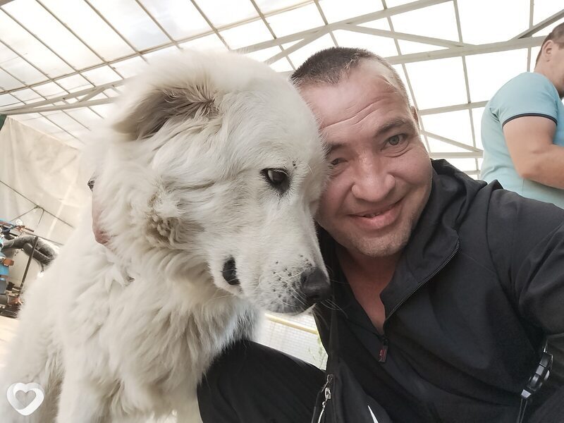 Руслан, 41, Челябинске — анкета №550147