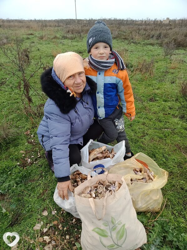 Елена, Старая Полтавка