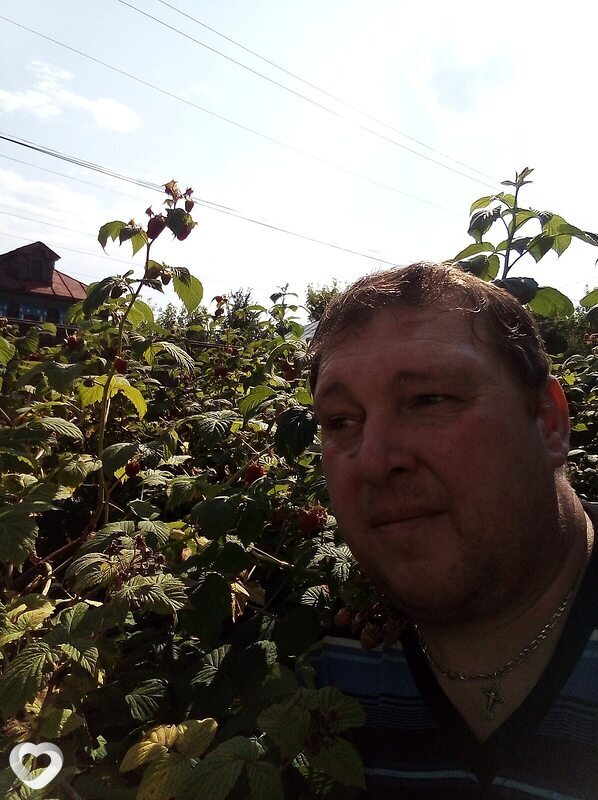 Андрей, 49, Павлове — анкета №556262